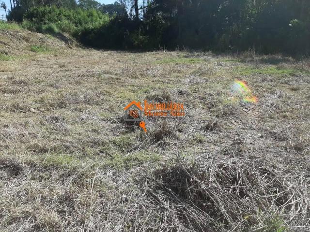 Terreno / Lote para Venda em Guarulhos/SP Parque Maria Helena