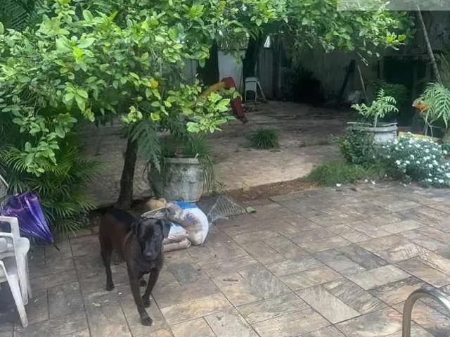 Terreno / Lote para Venda em Guarulhos/SP Parque Renato Maia