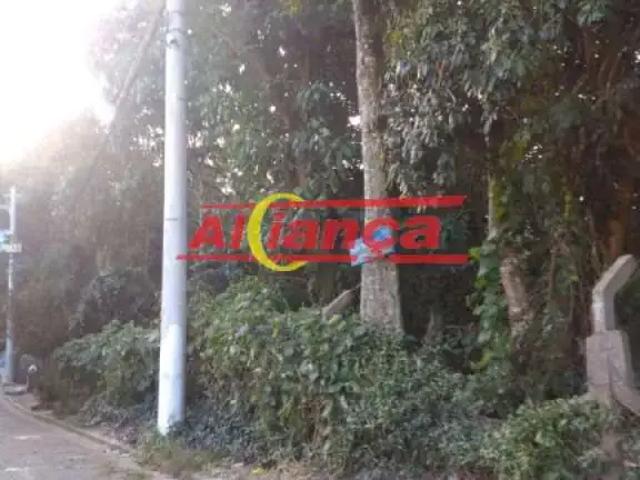 Terreno / Lote para Venda em Guarulhos/SP Recreio São Jorge