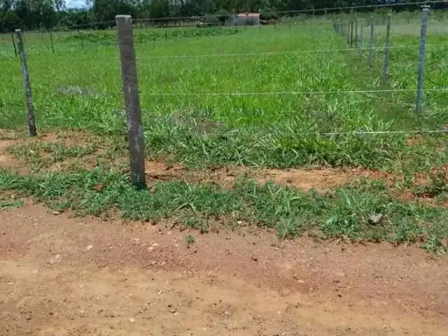 Terreno / Lote para Venda em Hidrolândia/GO Centro