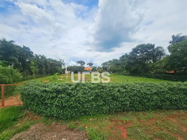 Terreno / Lote para Venda em Hidrolândia/GO Centro
