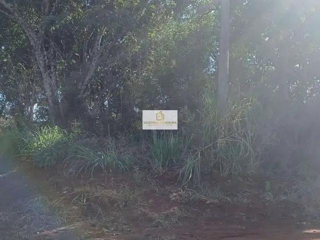 Terreno / Lote para Venda em Hidrolândia/GO Jardim Garavelo Sul