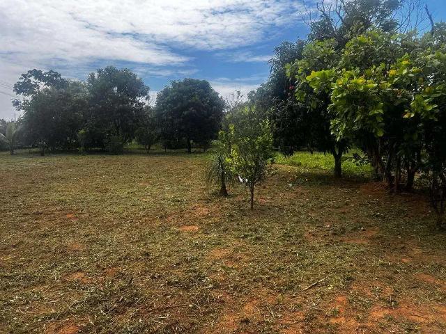 Terreno / Lote para Venda em Hidrolândia/GO Zona Rural