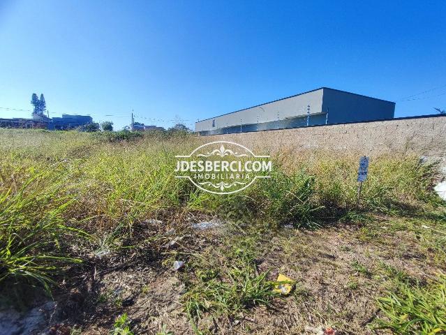 Terreno / Lote para Venda em Holambra/SP Residencial Jardim Europa