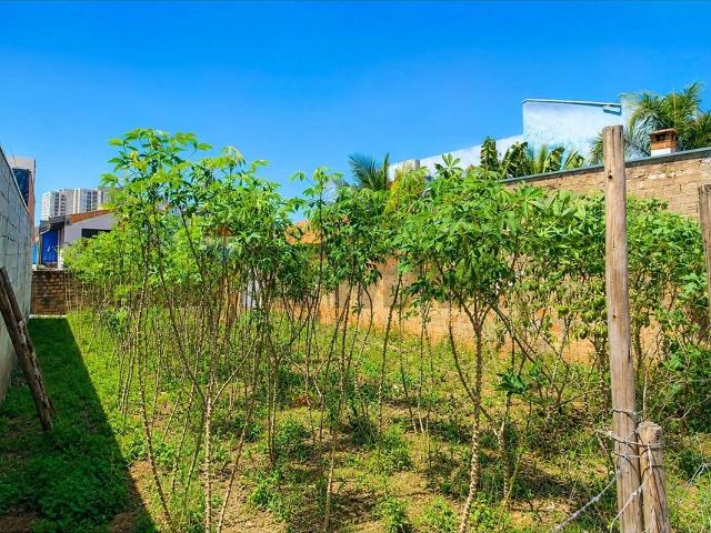 Terreno / Lote para Venda em Hortolândia/SP Jardim das Figueiras II