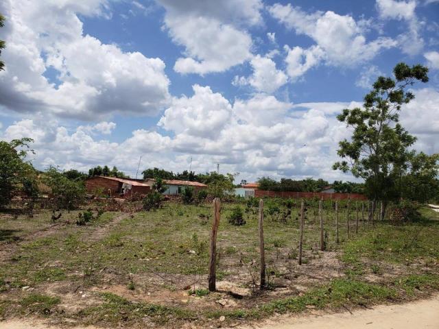 Terreno / Lote para Venda em Horizonte/CE Centro