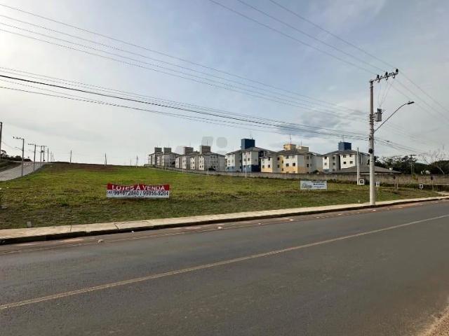 Terreno / Lote para Venda em Içara/SC Centro