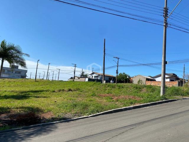 Terreno / Lote para Venda em Içara/SC Tereza Cristina