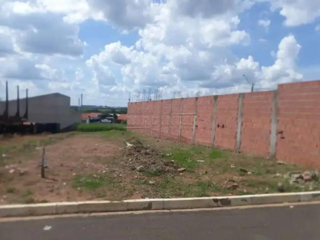 Terreno / Lote para Venda em Ibaté/SP Loteamento Jequitiba