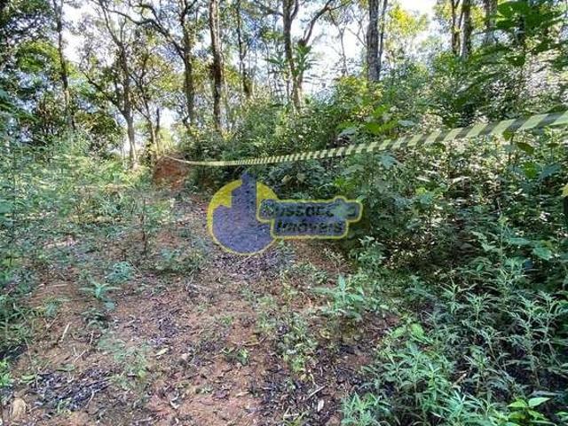 Terreno / Lote para Venda em Ibiúna/SP Vargem Do Salto