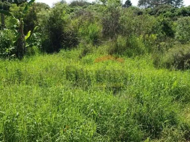 Terreno / Lote para Venda em Ibiúna/SP Centro