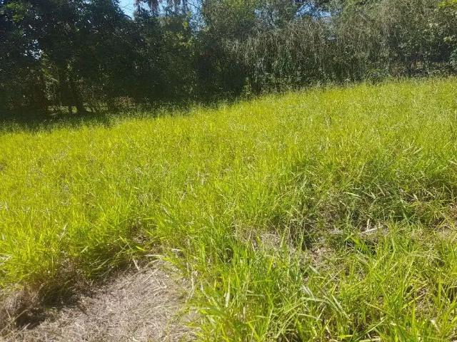 Terreno / Lote para Venda em Ibiúna/SP Centro