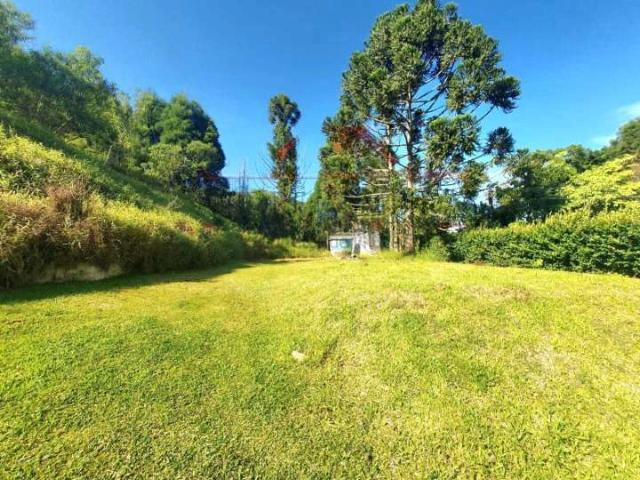 Terreno / Lote para Venda em Ibiúna/SP Centro