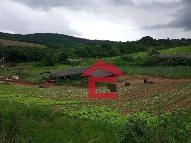 Terreno / Lote para Venda em Ibiúna/SP Cocais