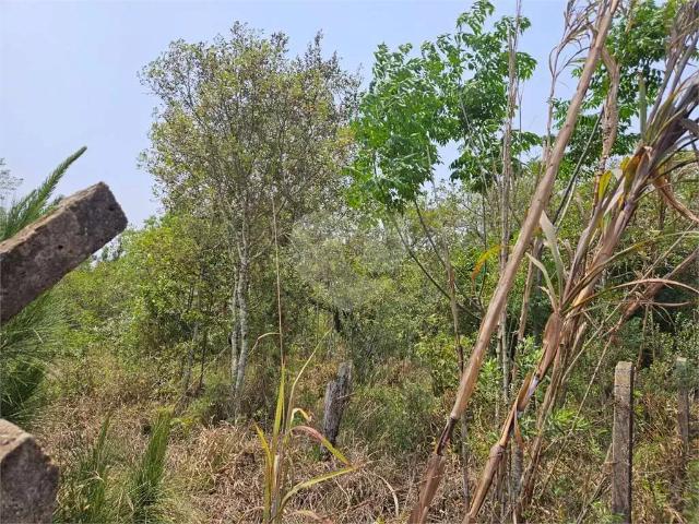 Terreno / Lote para Venda em Ibiúna/SP Curral