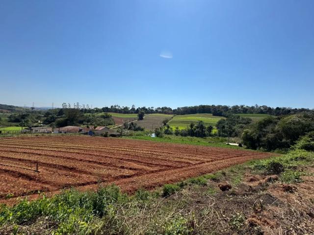 Terreno / Lote para Venda em Ibiúna/SP Morro Grande