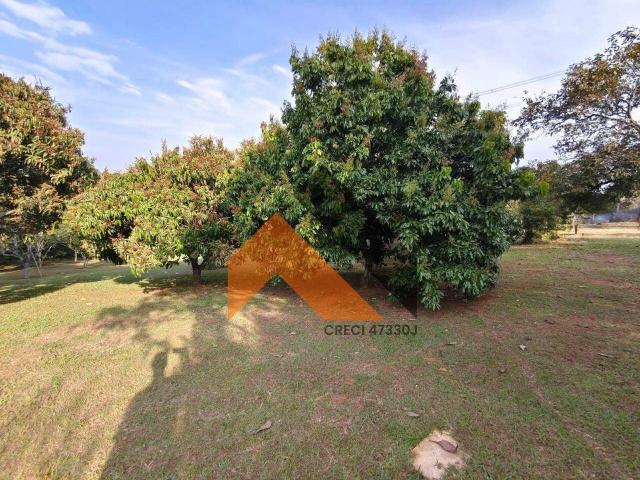 Terreno / Lote para Venda em Ibiúna/SP Pomar Yuri