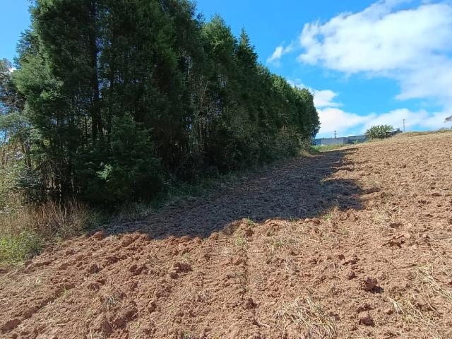 Terreno / Lote para Venda em Ibiúna/SP Puris