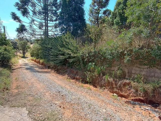 Terreno / Lote para Venda em Ibiúna/SP Puris
