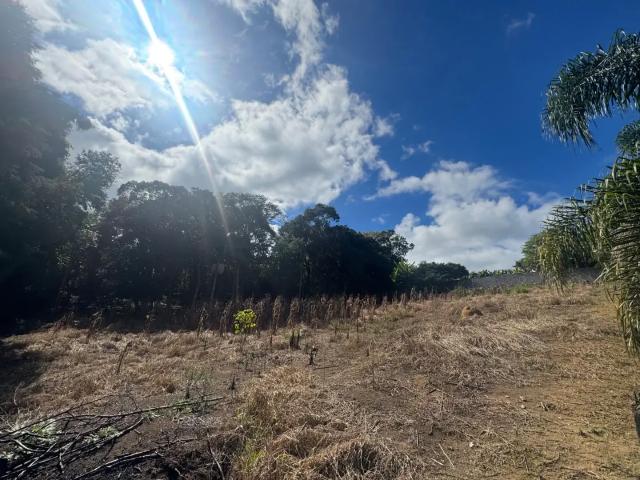 Terreno / Lote para Venda em Ibiúna/SP Recreio