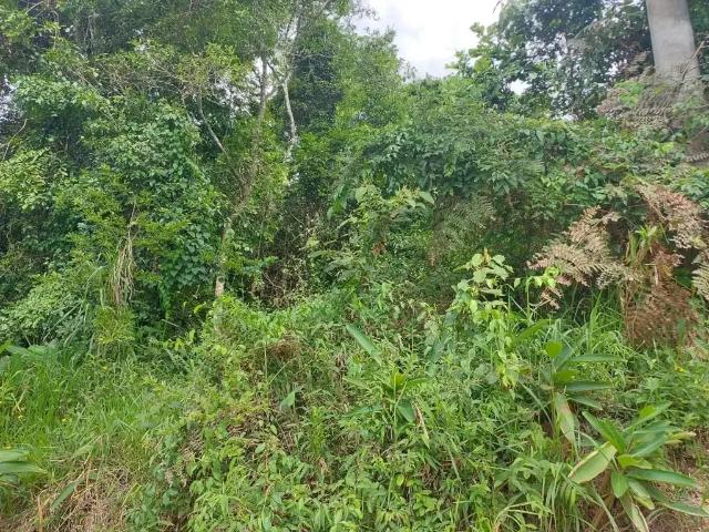Terreno / Lote para Venda em Ibiúna/SP Sorocamirim