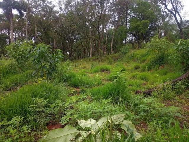 Terreno / Lote para Venda em Ibiúna/SP Sorocamirim