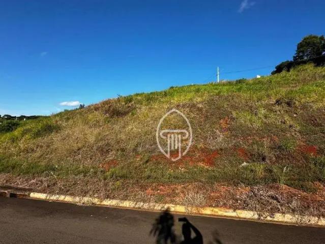 Terreno / Lote para Venda em Ibiporã/PR Centro
