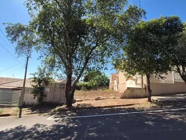Terreno / Lote para Venda em Ibiporã/PR Centro