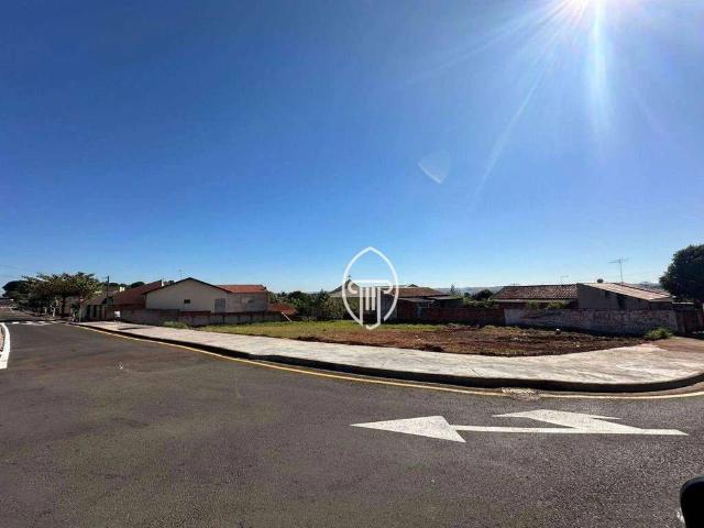 Terreno / Lote para Venda em Ibiporã/PR Centro