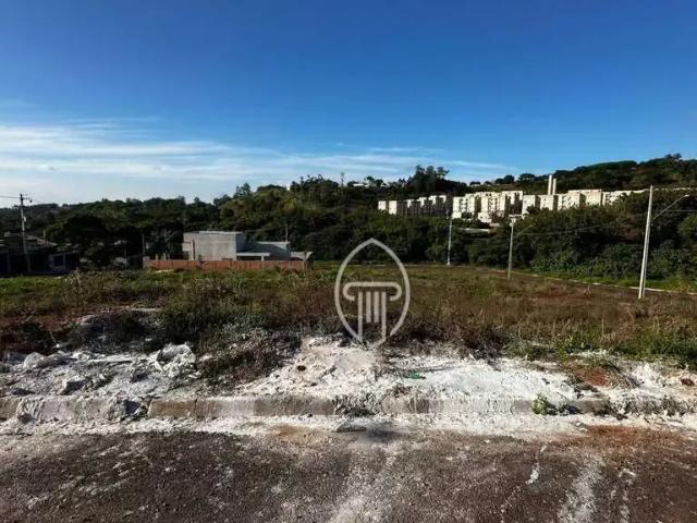 Terreno / Lote para Venda em Ibiporã/PR Centro
