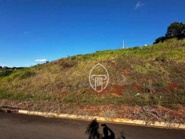 Terreno / Lote para Venda em Ibiporã/PR Centro
