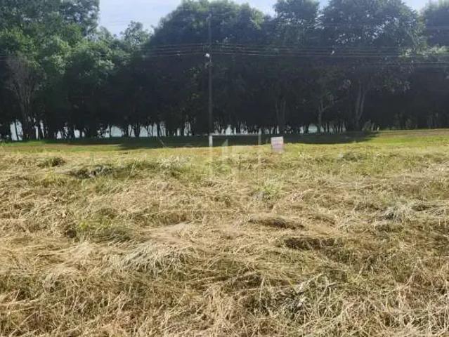 Terreno / Lote para Venda em Ibiporã/PR Chácaras Itaúna