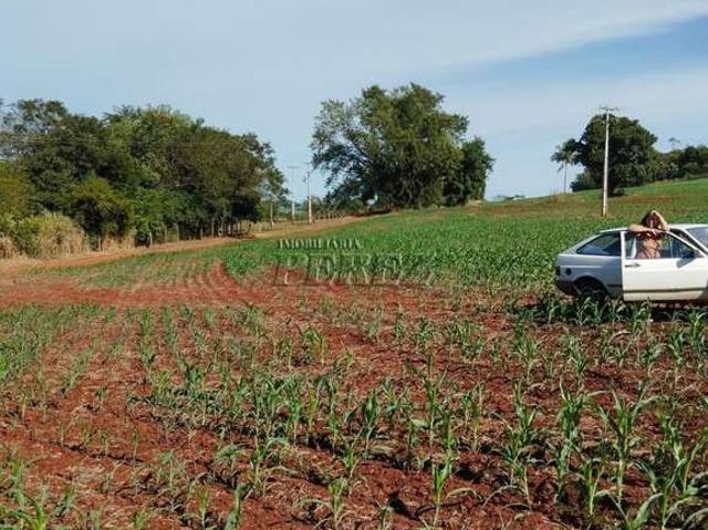 Terreno / Lote para Venda em Ibiporã/PR Jardim Malibu