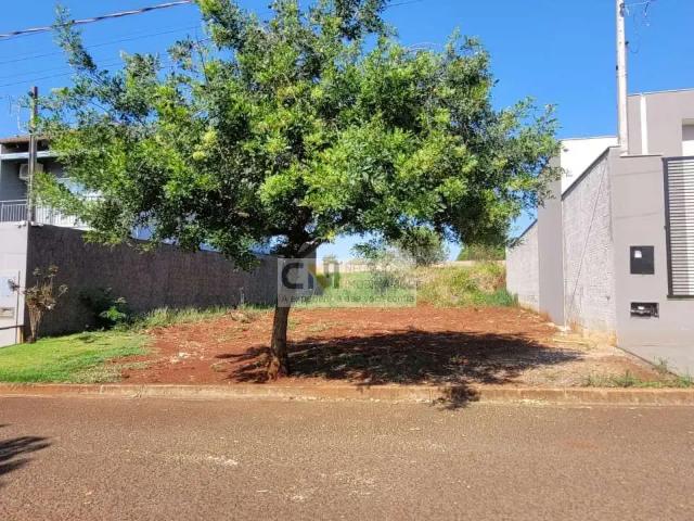 Terreno / Lote para Venda em Ibiporã/PR Jardim Malibu