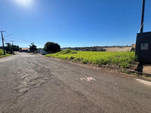 Terreno / Lote para Venda em Ibiporã/PR Jardim Casa Grande