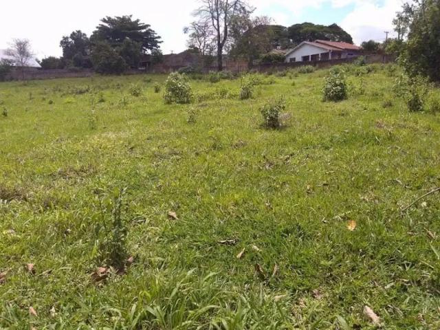 Terreno / Lote para Venda em Ibiporã/PR Jardim Dom Bosco