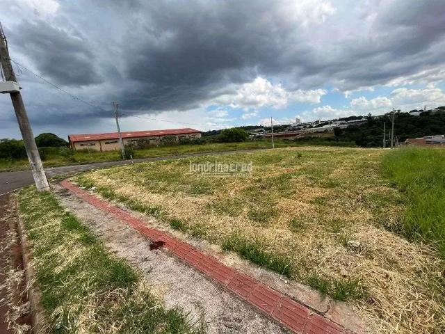 Terreno / Lote para Venda em Ibiporã/PR San Rafael