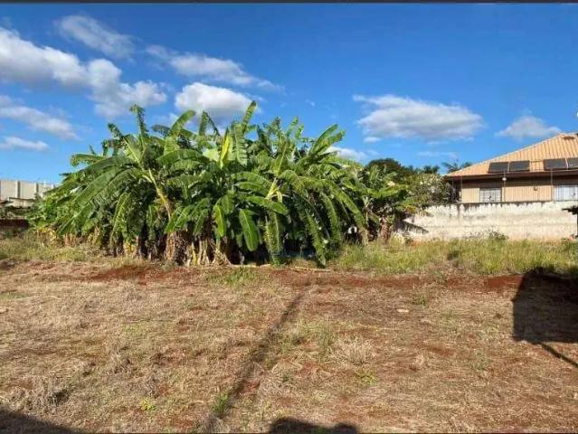Terreno / Lote para Venda em Ibiporã/PR Setor 1