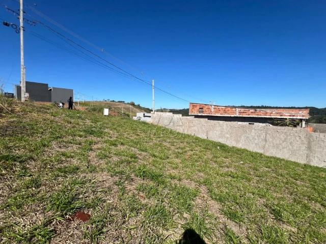 Terreno / Lote para Venda em Ibiporã/PR Residencial Campo Belo