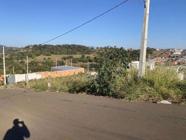Terreno / Lote para Venda em Ibiporã/PR Residencial Campo Belo