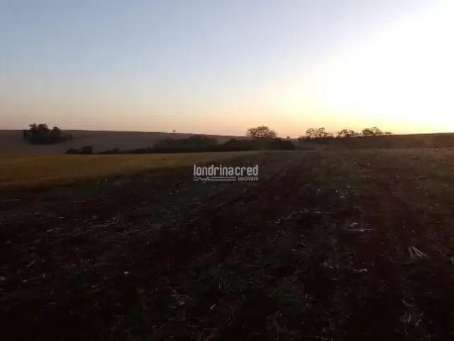 Terreno / Lote para Venda em Ibiporã/PR Zona Rural