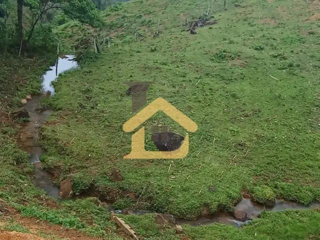 Terreno / Lote para Venda em Ibirataia/BA Algodão