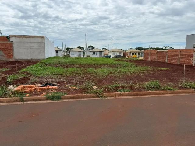 Terreno / Lote para Venda em Igarapava/SP Jardim Nova Igarapava