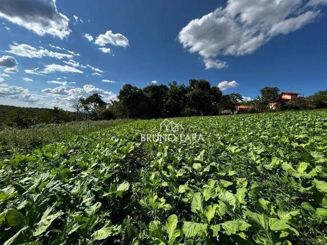 Terreno / Lote para Venda em Igarapé/MG Pousada Del Rei