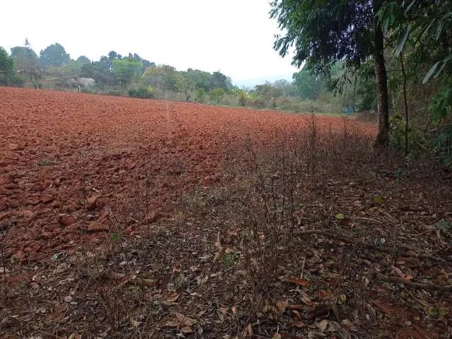 Terreno / Lote para Venda em Igarapé/MG Zona Rural