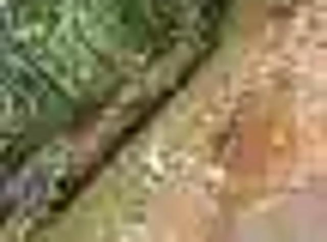 Terreno / Lote para Venda em Igarassu/PE Monjope