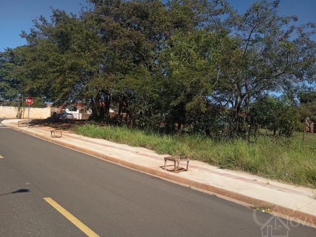 Terreno / Lote para Venda em Iguaraçu/PR Centro