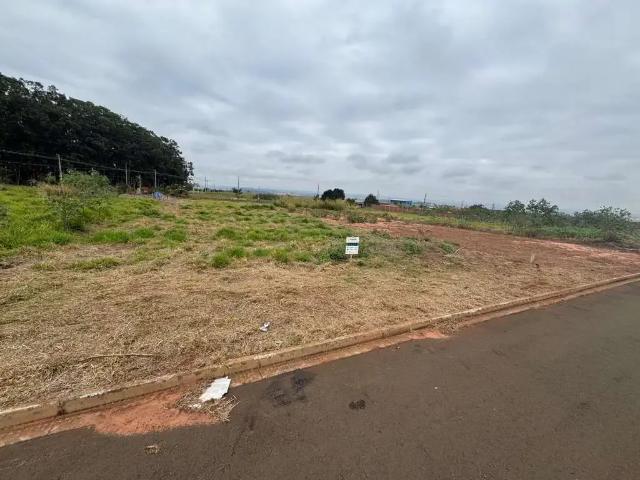 Terreno / Lote para Venda em Iguaraçu/PR Loteamento Villa Verde