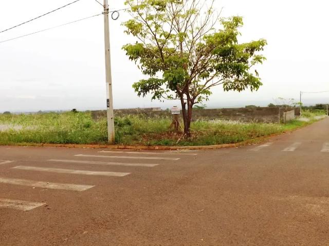 Terreno / Lote para Venda em Iguaraçu/PR Terra Bella