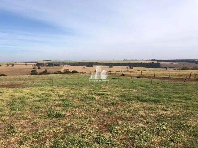 Terreno / Lote para Venda em Iguaraçu/PR Zona Rural